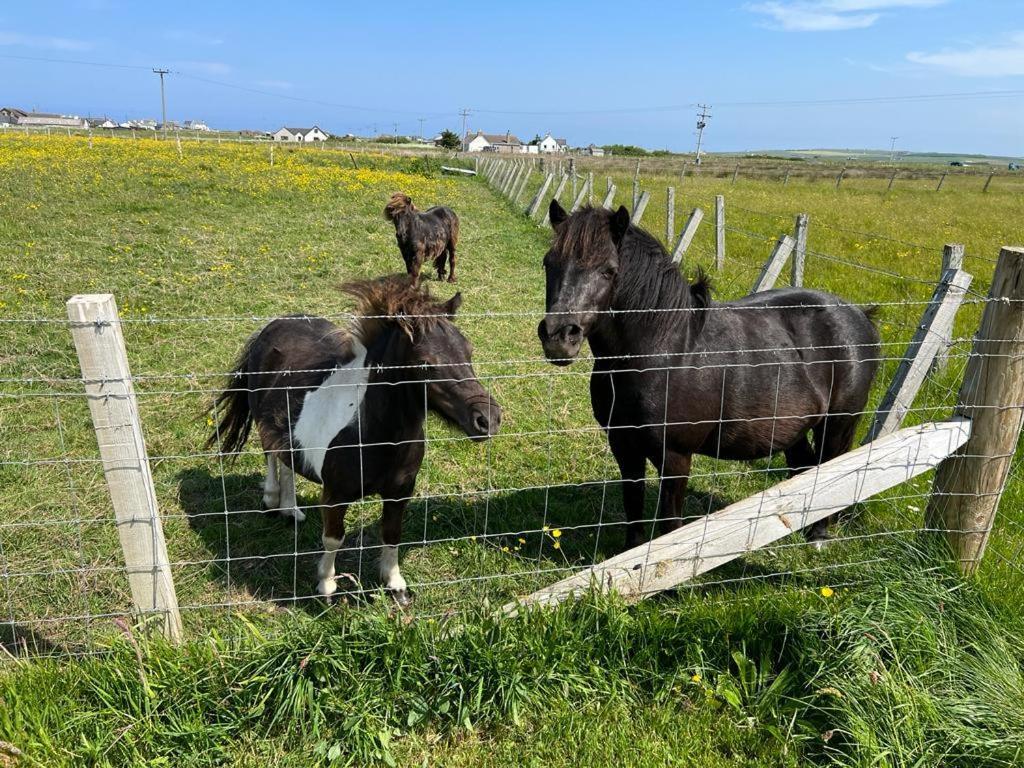 North Point Pods Thurso