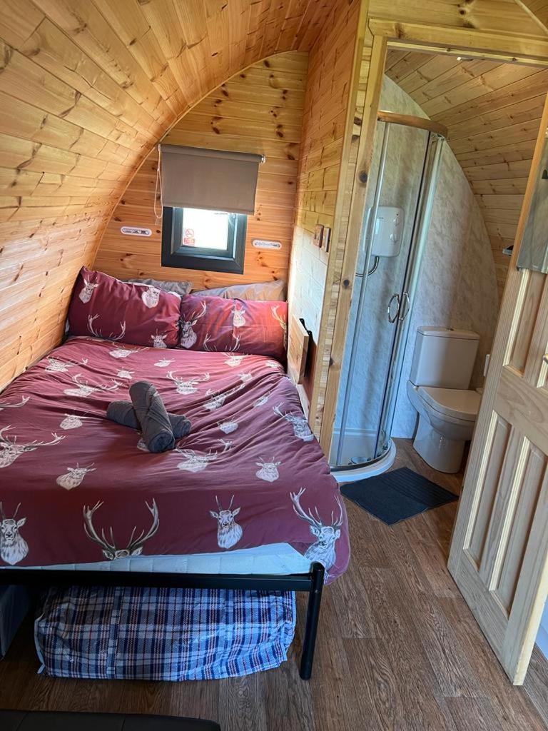 Campingplatz North Point Pods